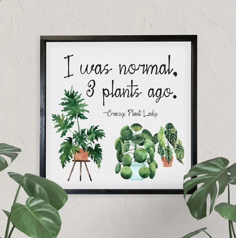 Crazy Plant Lady Wall Art