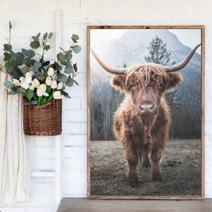 Highland Cow Print